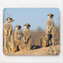 Search for den mousepads Animal