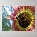 Search for bee happy posters Nature