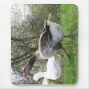 Search for grass mousepads Bird