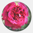 Search for rosa stickers Rose