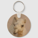 Search for camel desert key rings Nature