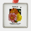 Search for dahlia flower christmas tree decorations Nature