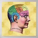 Search for human anatomy posters Skull