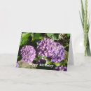 Search for hydrangeas birthday cards Purple