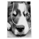Search for border collie gift bags Pet