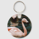 Search for florida wildlife key rings Animal