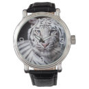 Search for tiger photography White bengal tiger