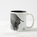Search for black rhino mugs White
