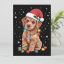 Search for poodle christmas cards Xmas