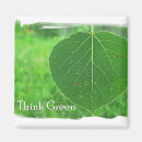 Search for think green magnets Nature