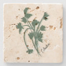 Search for herb coasters Spices