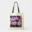 Search for crocus bags Nature