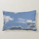 Search for puffy cushions Blue