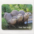 Search for otter photography Cute