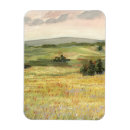 Search for meadows magnets Landscapes
