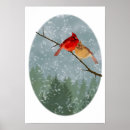 Search for cardinals in winter posters Beautiful