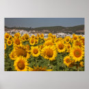 Search for cadiz posters Andalusia