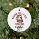 Search for guinea pig christmas tree decorations Rodent