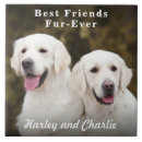 Search for pet photo tiles Create your own