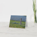 Search for ripples cards Lake