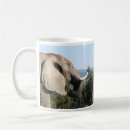 Search for made in south africa mugs Elephant