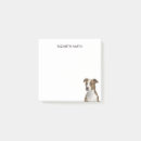 Search for dog type White