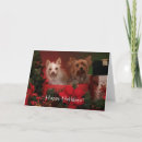 Search for yorkie christmas cards Fun