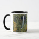 Search for silver state mugs Falls