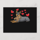 Search for australian postcards Australian cattle dog