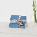 Search for pelican cards Beach