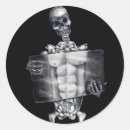 Search for xray stickers Skeleton