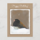 Search for snow birds postcards Dark eyed junco