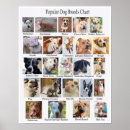 Search for dog breed posters Cute