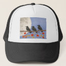 Search for crow hats Birds