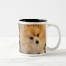 Search for pomeranian dog mugs Pets