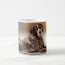 Search for pointer mugs Pets