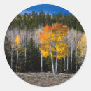 Search for aspen leaves stickers Autumn