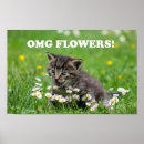 Search for kitten posters Funny