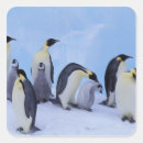 Search for emperor penguin chick stickers Animal