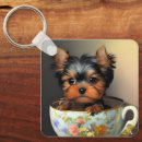 Search for teacup yorkie Puppy