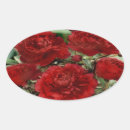 Search for carnation flower stickers Floral