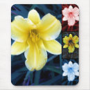 Search for mix mousepads Floral