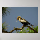 Search for buff art Nature