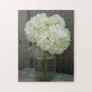 Search for hydrangea photography Floral