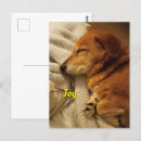 Search for smiling dog postcards Smile