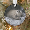 Search for curling christmas tree decorations Cat
