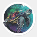 Search for turtle beach stickers Turtles