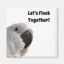 Search for friendship magnets Funny