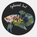 Search for fighting fish stickers Aquarium