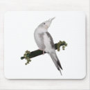 Search for cockatiels mousepads Pet